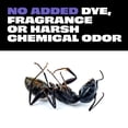 thumbnail image 4 of STEM Kills Indoor and Outdoor Ants Roaches and Spiders Killer Spray, 10 oz, 4 of 16