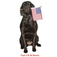 thumbnail image 3 of CafePress - Proud American Light T Shirt - Men's Classic Graphic T-Shirt, 3 of 4