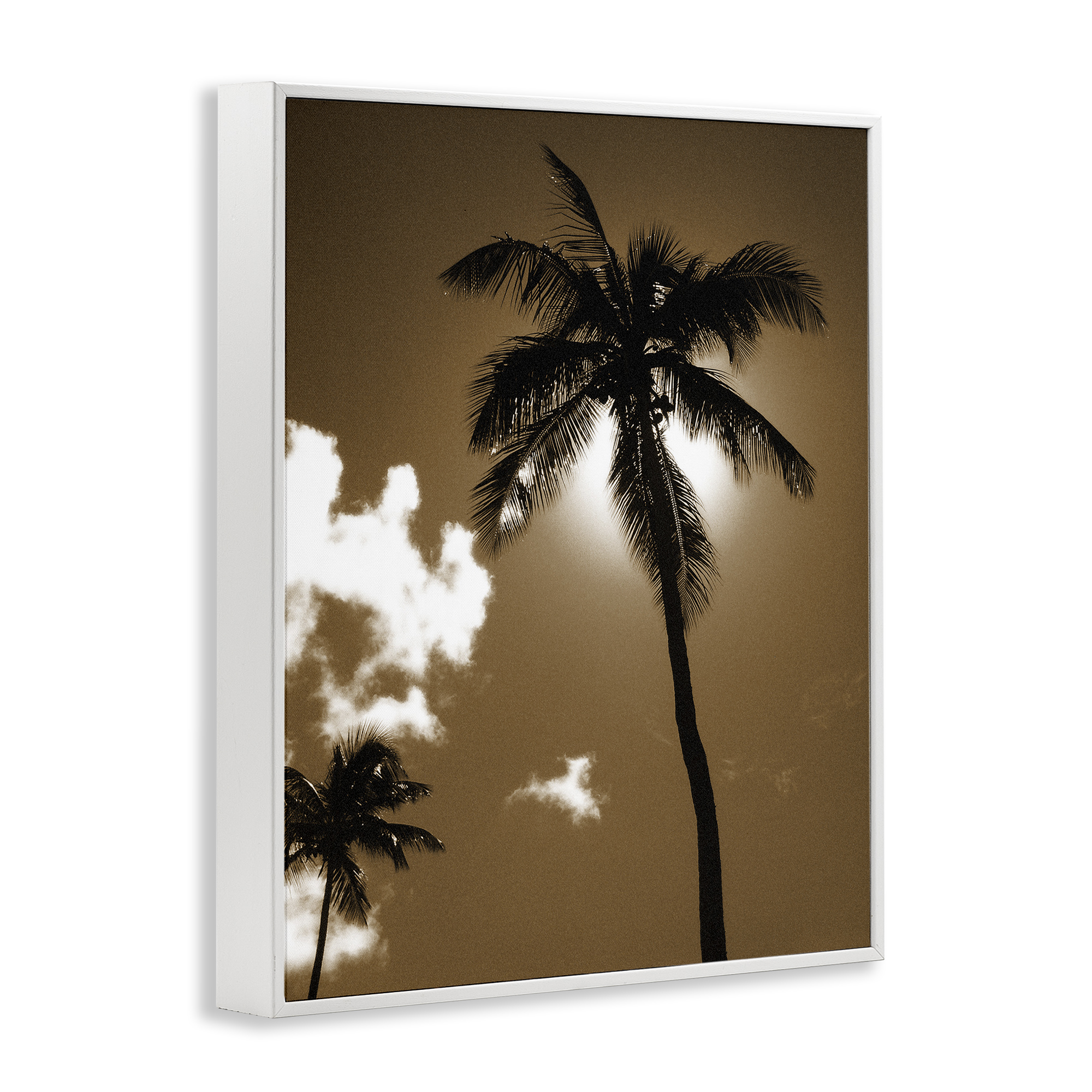 Stupell Industries Sunlight Through Palms Landscape Photography White Framed Art Print Wall Art, 11 x 14