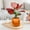 Orange, variant on Sktrjpolfis Plastic Self-Watering Plant Pots 4.52x3.94in Indoor Flower Pot with Water Reservoir for Home Office Decoration