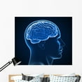 thumbnail image 1 of Human Brain X-ray Wall Mural Decal by Wallmonkeys Vinyl Peel and Stick Graphic (48 in W x 40 in H), 1 of 4