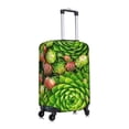 thumbnail image 3 of Daiia Cactus And Succulents Luggage Cover, Thickened Washable Travel Luggage Covers, Elastic Unique Baggage Covers for 18-20 inch Luggage-Large, 3 of 9