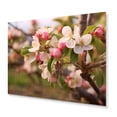 thumbnail image 2 of Designart "Apple Blossom Petals Adorning the Farm I" Floral Metal Wall Art, 2 of 5