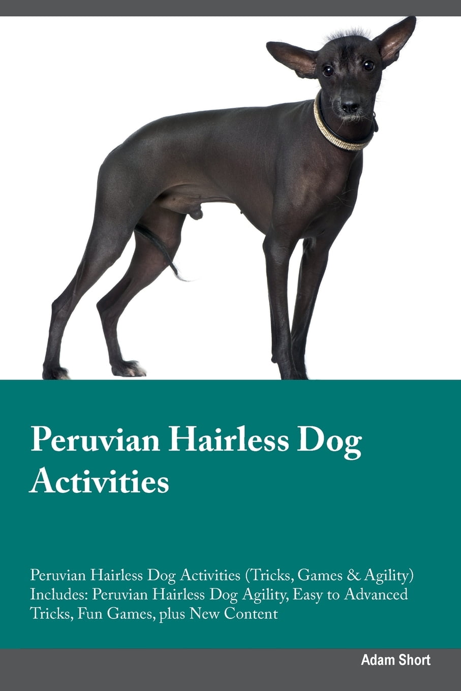 Download Peruvian Hairless Dog Activities Peruvian Hairless Dog ...