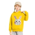 thumbnail image 6 of Frostluinai Cute Hoodies for Toddler Boy 2-7Y Little Girls Graphic Print Sweatshirts Fall Warm Pullover Tops Long Sleeve Casual Hoodies, 6 of 6