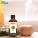 thumbnail image 2 of Aceite Esencial de Thuja Organic Zing Natural Puro para Cuidado de Piel, Rostro, Cabello y Aromatera, 2 of 8