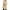 Khaki, variant on IROINNID Women's Anorak Coat Long Sleeve Solid Color Hoodie Outwear, Casual Summer Sexy Fold Regular Button