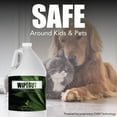 thumbnail image 6 of 1 Gallon Sugar Cookie Scent Smoke Odor Eliminator Spray, Works for Home, Car, Skin, Hair and Fabrics, Ideal for Removing Heavy Smoke Smell, 6 of 12