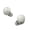 Silver, variant on WF-1000XM5 Truly Wireless Bluetooth Noise Canceling Headphones