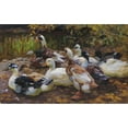 thumbnail image 2 of Alexander Koester 14x11 Black Ornate Wood Framed Double Matted Museum Art Print Titled: My Ducks (Eleven Ducks on the Bank) (1909-1913), 2 of 5