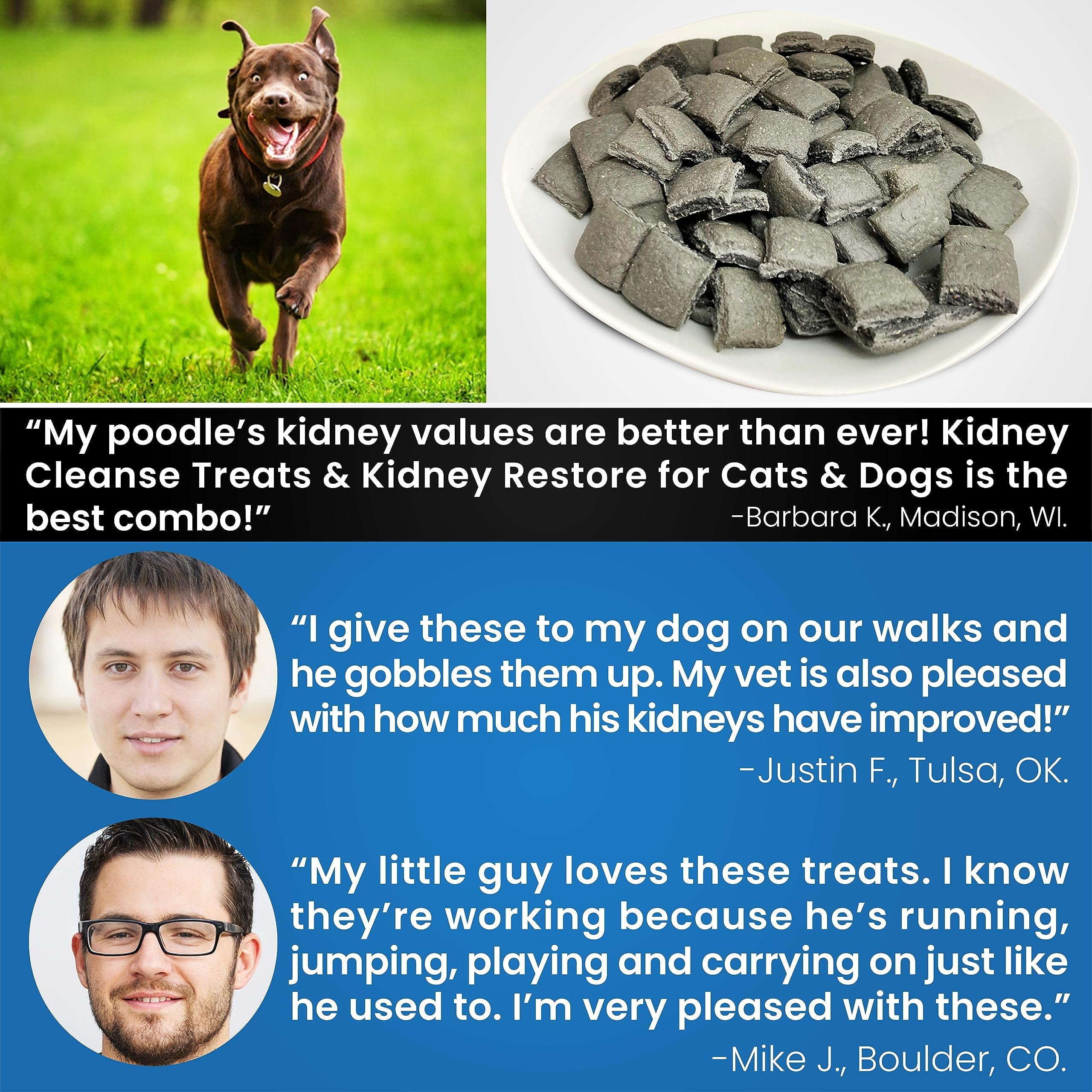 Kidney Cleanse Dog Treats 20oz - Renal & Toxin Elimination, Low-Protein, Vitamin-Enriched