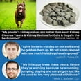 thumbnail image 6 of Kidney Cleanse Dog Treats 20oz - Renal & Toxin Elimination, Low-Protein, Vitamin-Enriched, 6 of 6