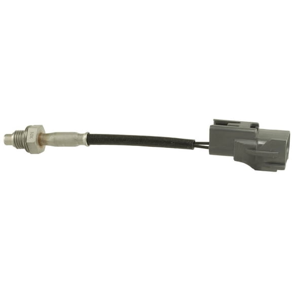 Exhaust Gas Recirculation (EGR) Valve Temperature Sensor