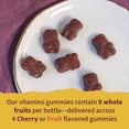 thumbnail image 2 of Gomitas Garden of Life Organics Kids 120 gomitas x2, 2 of 7