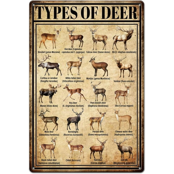 "Types of Deer" Metal Tin Sign Animals Deer Illustration Vintage Painting Tin Signs 12x8inch Retro Wall Art Plaque Poster for Home Farm Restaurant Zoo Club Decoration