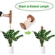 thumbnail image 3 of Musgo Para Planta De Queso Palo De Musgo Apilable Con 20 Bridas Para Cables Para Extender Monstera Pothos Vines 2 Uds Poste Serendint HA035070-00, 3 of 6