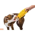 thumbnail image 6 of Hartz Double Play Pal Toss and Retrieve Dog Squeaky Toy, Multi-Color, 6 of 7