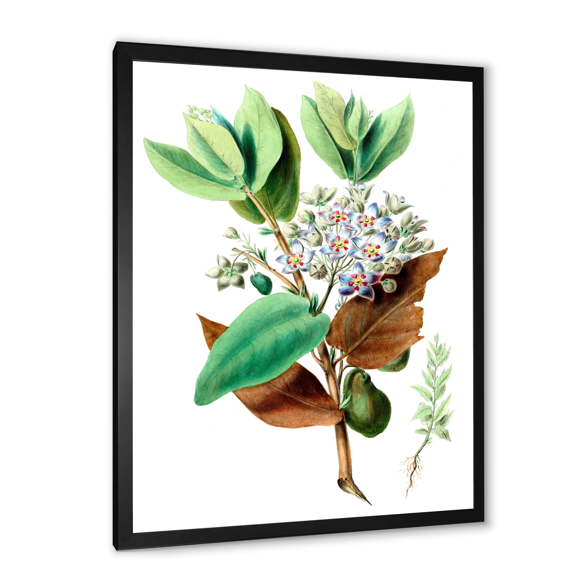 Designart 'Ancient Plant Life XXVIII' Traditional Framed Art Print