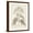 Brown Frame, variant on Art.com Antique Sepia Botanicals III Art Print by 0 Unknown, Black Frame Wall Art, 17" x 21"