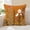 Caramel-18" x 18" (Pack of 1), variant on Spring Summer Flembroidered Throwow Cover 18 X 18 Inch Green Colorful Flowers Decorative Tufted Patterned Linen Cushion Case For Sofa Couch