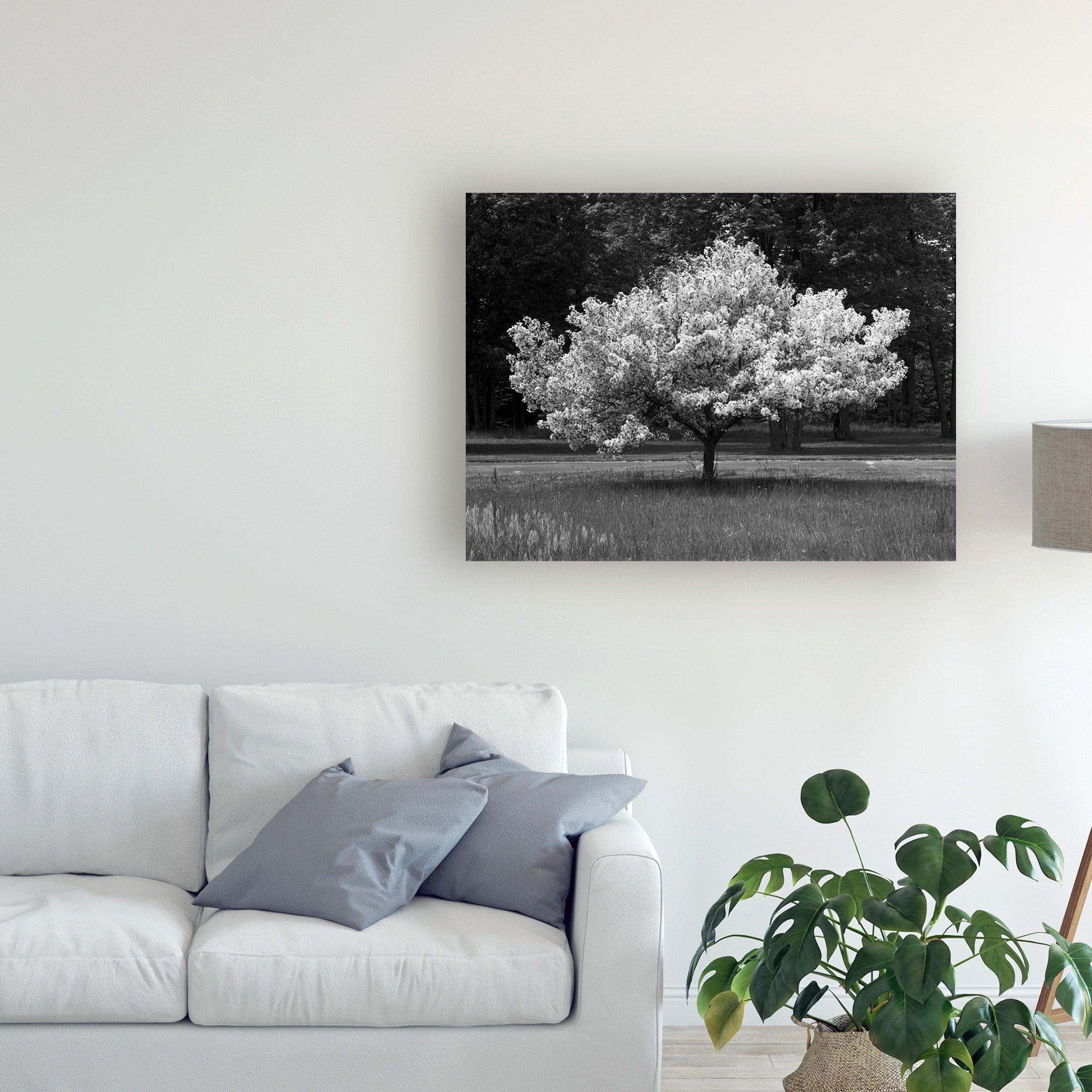 Trademark Fine Art 'Cherry Blossom Michigan' Canvas Art by Monte Nagler
