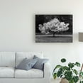thumbnail image 3 of Trademark Fine Art 'Cherry Blossom Michigan' Canvas Art by Monte Nagler, 3 of 3