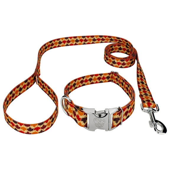 Country Brook Petz® Premium Nature Walk Dog Collar and Leash Limited Edition, XL