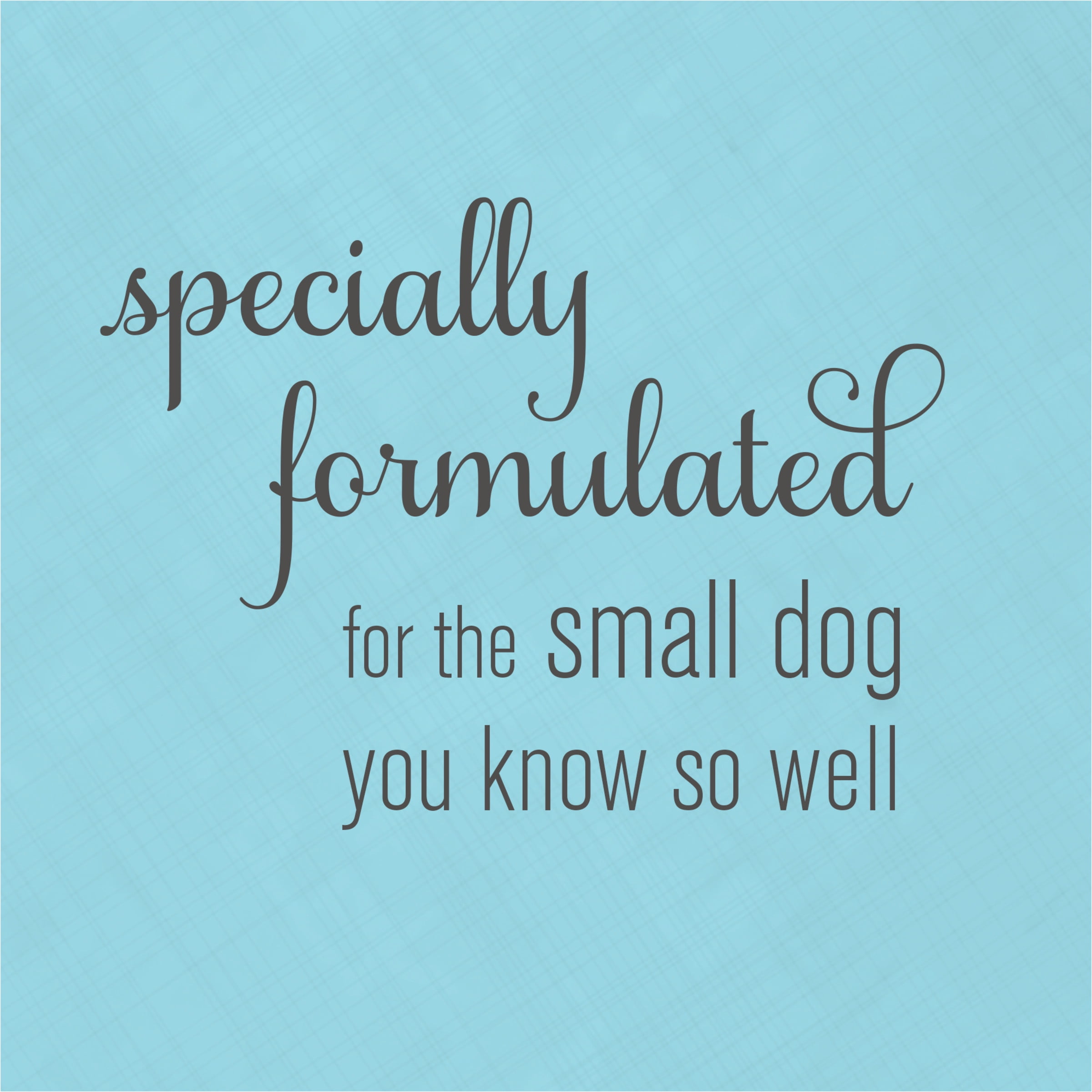 Walmart bella dog food cheap