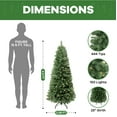 thumbnail image 6 of Vienna 4.5ft Prelit Slim Artificial Christmas Tree with 444 Branch Tips, 150 Warm Lights and Metal Stand, 25" wide Realistic Skinny Pencil Christmas Tree with Lights by Naomi Home, 6 of 13