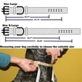 thumbnail image 5 of Miaocao Heavy Duty Adjustable Dog Collar, 2 Inch Wide Military Thick Dog Collars for Large Dogs, Breathable Nylon Pet Collar with Metal Buckle & D Ring, 5 of 6