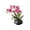 B-Pink, variant on Artificial Phalaenopsis Orchid Potted Plant, Silk Flower Bonsai For Living Room Decor, No Water Faux Green Tabletop Accent For Home Office