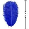 thumbnail image 3 of 8-10 inch (20-25cm) Natural Ostrich Feathers for Wedding Centerpieces Home Decoration,Flower Arrangement,DIY Christmas Decorations (20 Pcs,Royal Blue), 3 of 8