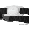thumbnail image 1 of Case-Mate Airtag Case for Dog Collars, 1 of 4