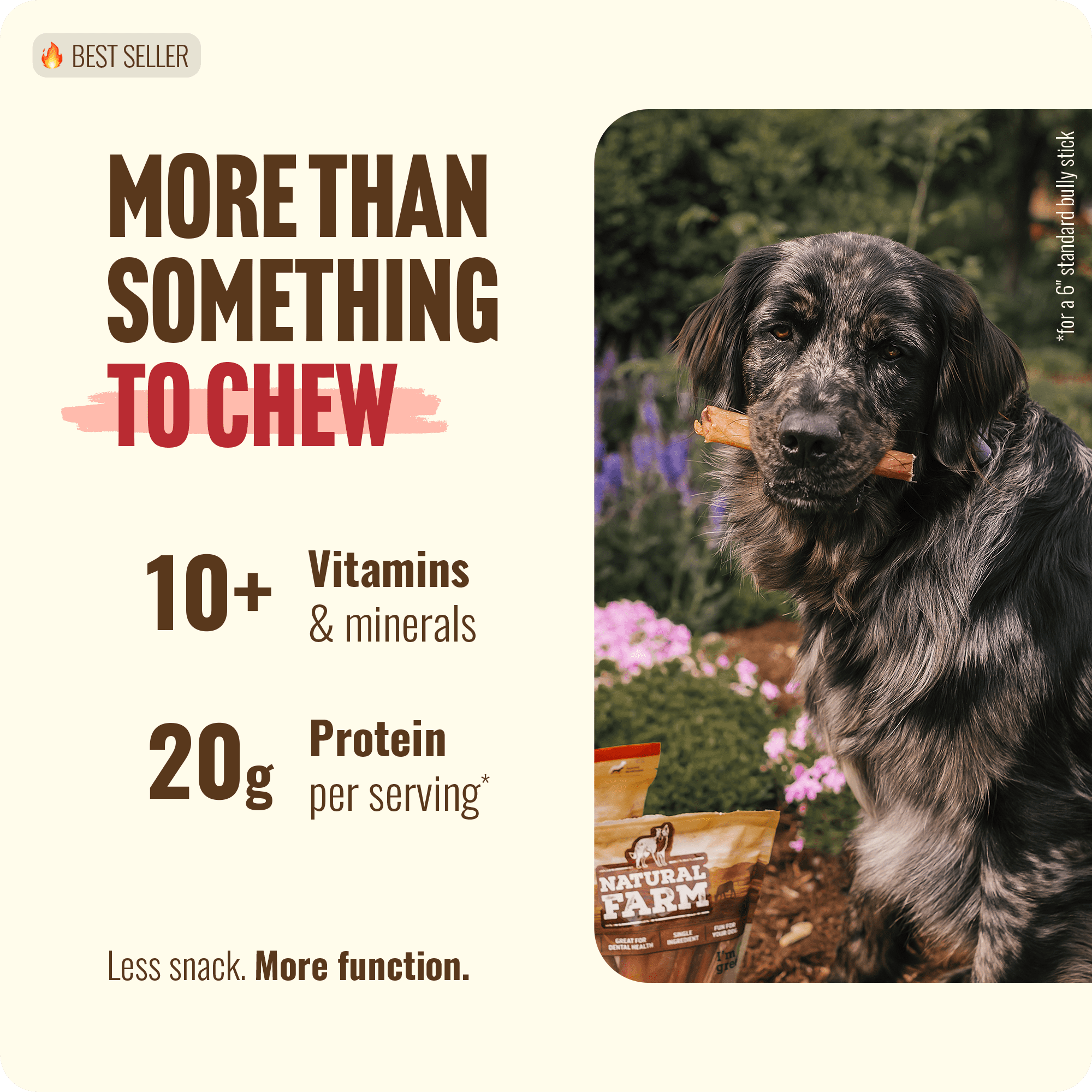 Natural Farm Jumbo Bully Sticks, 6 Inch - 4 Count, Odor Free, Extra-Thick Dog Chews