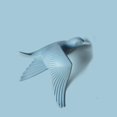thumbnail image 2 of Estatua de Pájaros de Gaviota Voladora Colco Escultura Artística de Resina Colgante 3D Azul B, 2 of 8