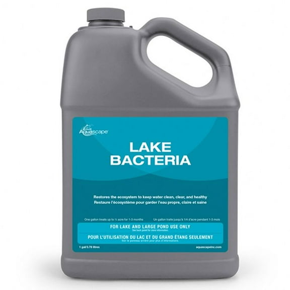 20016 Aquascape Lake Bacteria 1 Gallon 40016