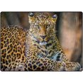 thumbnail image 2 of GZHJMY Hipster Leopard Animal PrintArea Rug Living Room Rugs - 5'3" x4 Abstract Large Soft Indoor Washable Rug Low Pile Carpet for Bedroom Dining Room Office Carpet Runner, 2 of 6