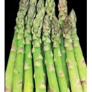 Jersey Knight Asparagus 2 Year Old Plants Bare Root Crowns All Male 25 Count