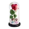 thumbnail image 1 of Regalos de flores de rosas, rosa iluminada en cúpula de cristal, adorno creativo de mesa, regalo del Día de San Valentín, flor Artificial para ella , Besos de base negra mayimx  luz de mesa, 1 of 9