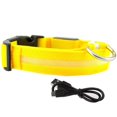 thumbnail image 1 of Collares LED brillantes para perros, Collar luminoso impermeable recargable, Collar de luz nocturna ajustable para perros, Collar de seguridad para mascotas, 1 of 4
