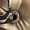 Bronze/Dk Brown/Cream, variant on Canyon Women's Boots Bronze/Dk Brown/Cream Size 9 M