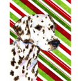 thumbnail image 1 of 11 x 15 In. Dalmatian Candy Cane Holiday Christmas Flag, Garden Size, 1 of 1