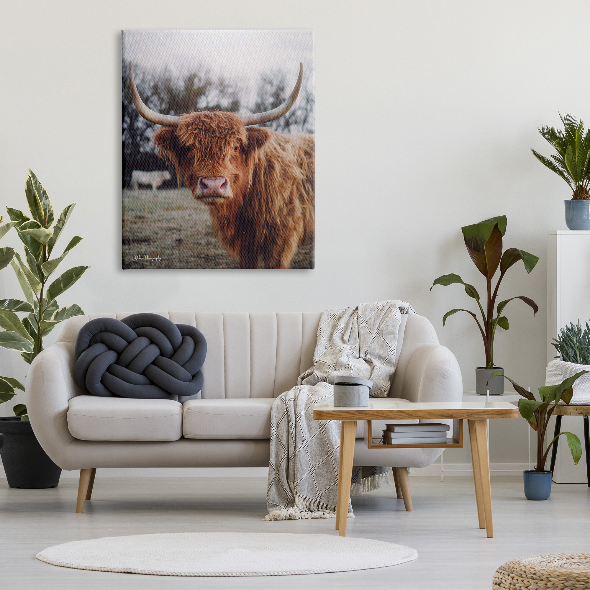 Stupell Industries Highland Cattle Cow Gazing Warm Sunny Portrait Photograph Gallery Wrapped Canvas Print Wall Art, Design by Dakota Diener