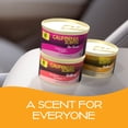 thumbnail image 6 of California Scents Spillproof Solid Air Freshener Can for Home or Auto, Hollywood Glow Scent, 6 of 10