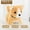 🥑 Yellow_New#1265, variant on Robot Puppy 2025 Robotic Dog Toy – Walking, Barking, Tail Wagging, Soft Plush Interactive Pet Companion, Portable, Brown/White, 13x16.5x16.5cm