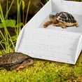 thumbnail image 3 of Tortoise Food Dish Reptile Water Food Bowls with Anti-Slip Ramp Reptile Water Dish Reusable Turtle Reptile Pool Tortoise Habitat Accessories for Turtles Horned Frogs and Lizards 36x20x6cm, 3 of 10