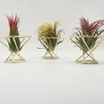 thumbnail image 4 of 6Pcs Dream Lifestyle Air Plant Holder, Mini Metal Tabletop Decor Modern Geometric Planter Tillandsia Air Fern Display Stand for Home Office Wedding Christma Decor Gift Idea, 4 of 7