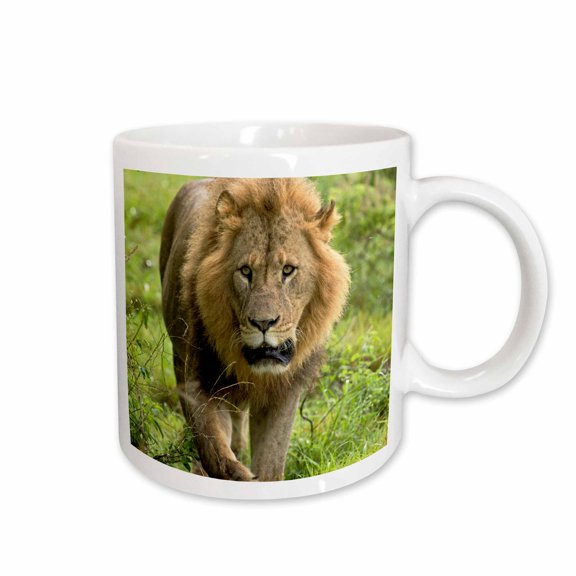 3drose, Male Lion, Lake Nakuru National Park, Kenya - Af21 Aje0869 - Adam Jones, 11oz Mug