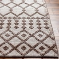 thumbnail image 4 of Hauteloom Luce Recycled Material Living Room, Bedroom Area Rug - Bohemian, Transitional - Off White, Dark Red, Tan - 5' x 7'6", 4 of 8
