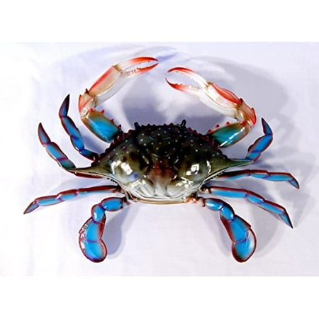 Maryland Blue Crab Beach Tiki Bar Wall Decor 6" by Charlotte International